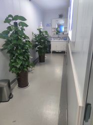-成都军建医院·医疗整形