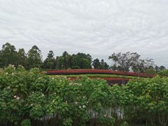 -天府芙蓉园