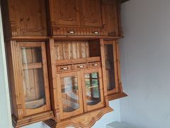 -金山农民画村-枫泾波兰倒置屋