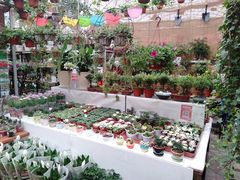 -秦美花卉(天朗·莱茵小城2期店)