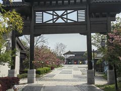 -同里国家湿地公园