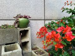 -上海佘山世茂艾美酒店