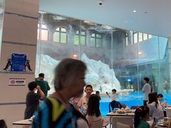 -帝企鹅自助餐厅•儿童岛•真企鹅(长隆企鹅酒店)