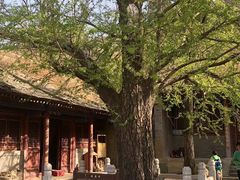 -定都阁