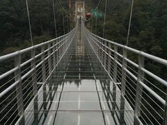 -九龙江国家森林公园