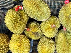 -水果天空(东葛店)