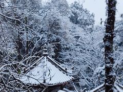 -都江堰景区