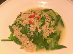 孜然菠菜-桂满陇天书(南京德基旗舰店)