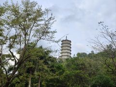 -深圳国际园林花卉博览园