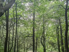 -香山公园