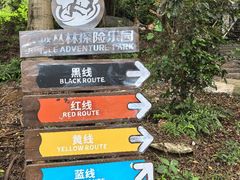 -芦仙山景区-飞越丛林探险乐园