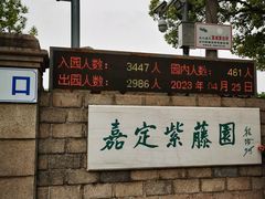 -嘉定紫藤园