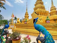 -西双版纳傣族园