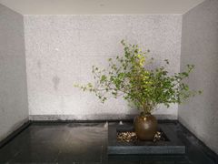 -花城粤菜餐厅(高新区店)