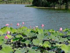 -上海市保健医疗中心(华东疗养院)