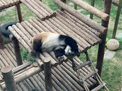 -大连森林动物园