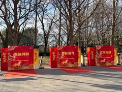 -玲珑塔公园
