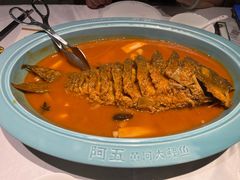 -阿五黄河大鲤鱼(英协路店)
