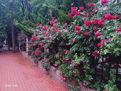 -大连市第二十四中学