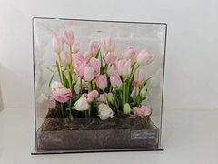 -Gigi Florist·Dk Coffee