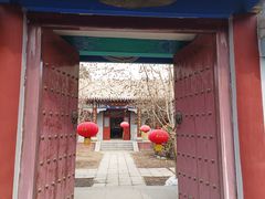 -纪晓岚文化园