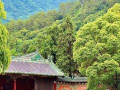 -报恩寺(平武县)