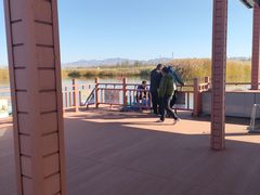 -乌梁素海景区