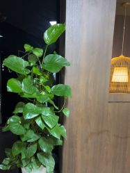 -鼎极摄影(双井店)