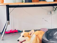 -LaFBagel手作烘焙工作室
