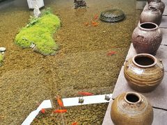 -几荷·恰似故人来(秀水广场店)