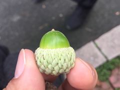 -旺仔家常菜生煎包(马端街店)