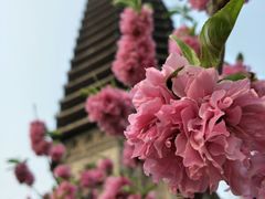 -玲珑塔公园