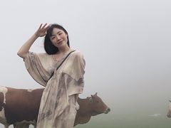 -大姆山草场