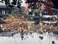 -艺圃