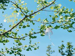 -雅达·阳羡溪山小镇中心