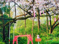 -杭州少年儿童公园