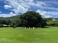 -三亚南山文化旅游区