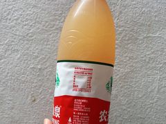 -正宗梧州牛肠酸