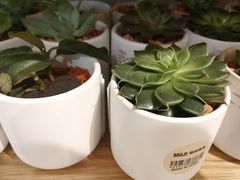 -MUJI无印良品(华贸店)