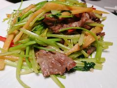 子油姜炒黄牛肉-新兴·金羊座·粤菜点心(乐峰店)