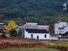 -塔川景区