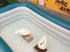 -太湖饭店·寄畅轩中餐厅