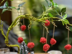 -一朵菌·野生菌探索家火锅(南亚店)
