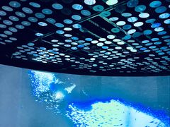 -同济大学四平路校区深海探索馆