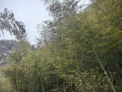 -十九峰景区