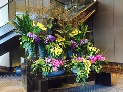 花-曼谷大仓新颐酒店