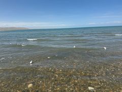 -青海湖国家重点风景名胜区