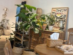 点击看大图 -WAVE SODA摄影工作室