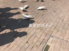-王府井奥莱临潼小镇(临潼店)