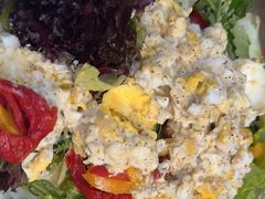 -Tubestation站点比萨(五道营店)